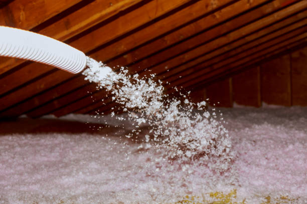 Insulation Inspection Services in Ford Heights, IL